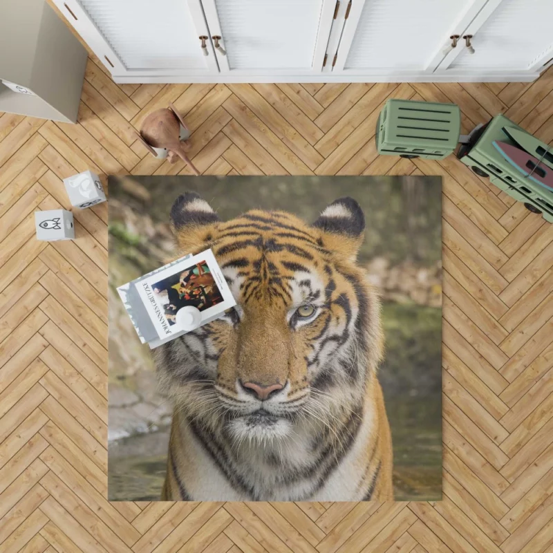 Dangerous Tiger Dominance Rug