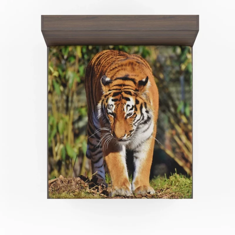 Dangerous Tiger Fitted Sheet 1