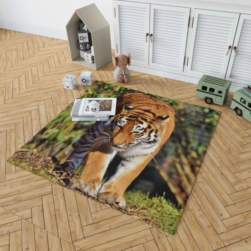 Dangerous Tiger Rug 1