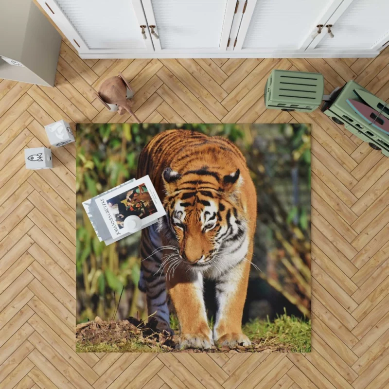 Dangerous Tiger Rug