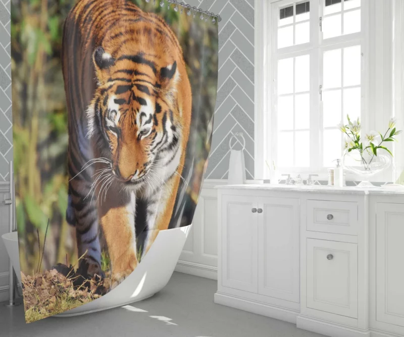 Dangerous Tiger Shower Curtain 1