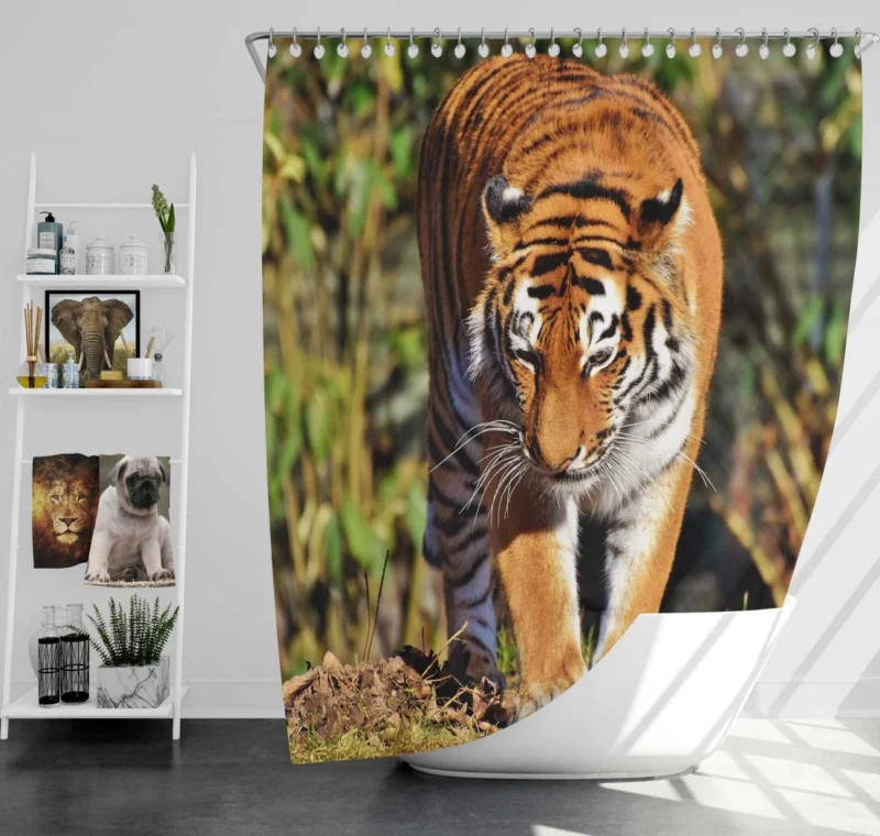 Dangerous Tiger Shower Curtain