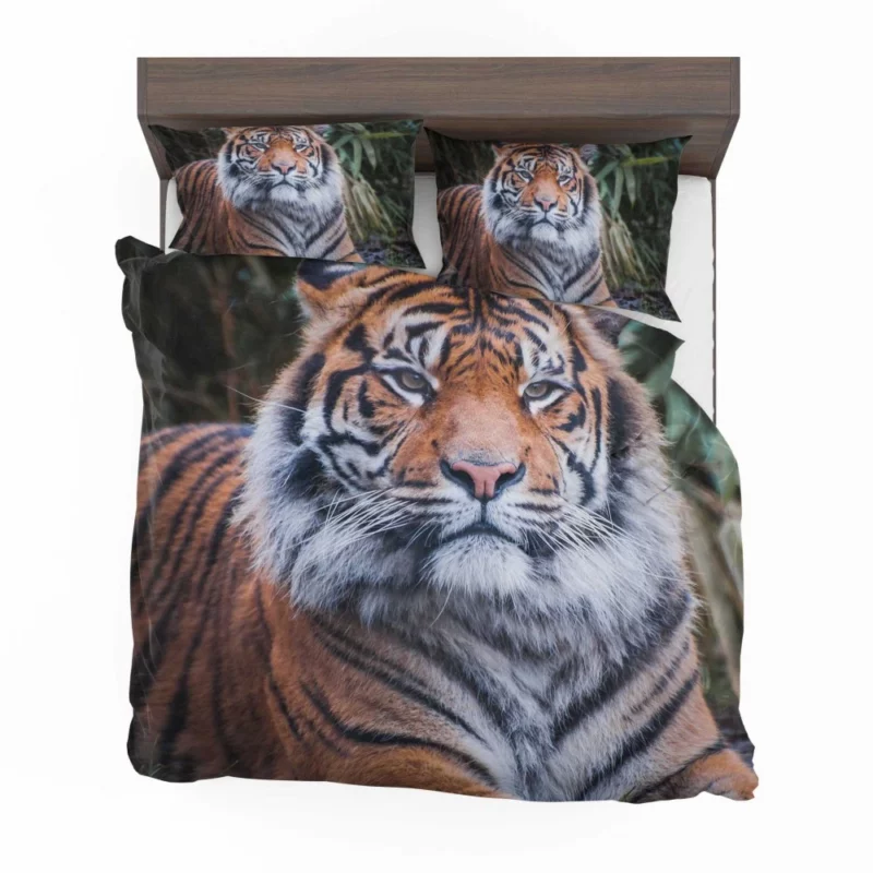 Dangerous Wilderness Tiger Dominance Bedding Set 1