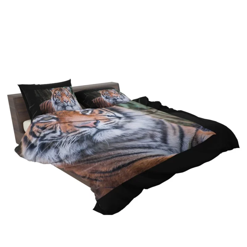 Dangerous Wilderness Tiger Dominance Bedding Set 2