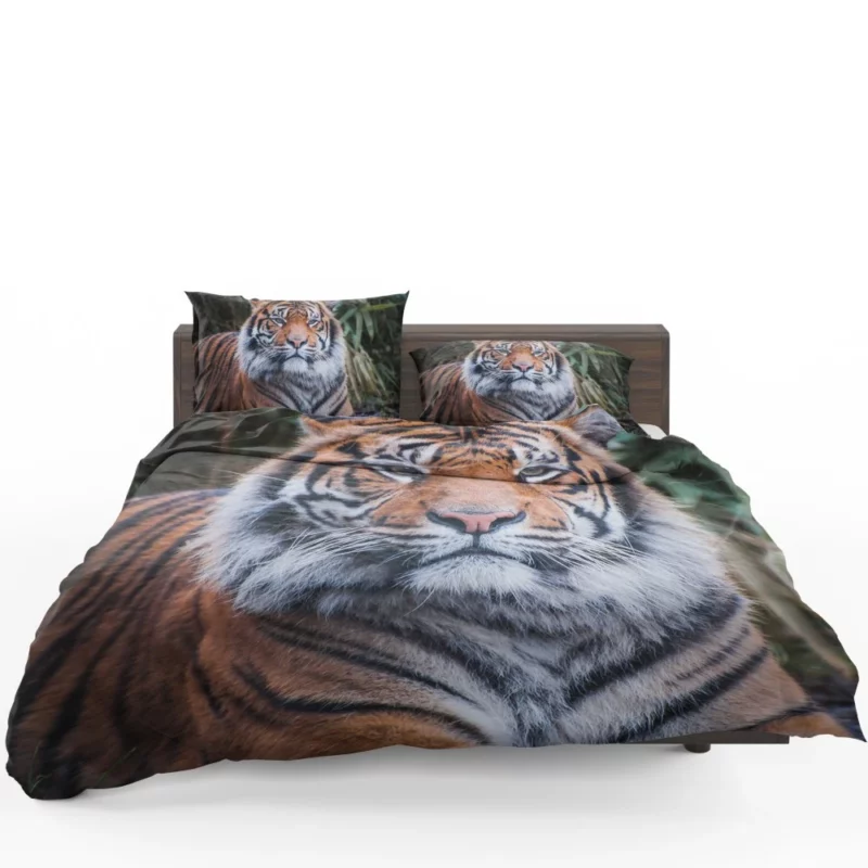 Dangerous Wilderness Tiger Dominance Bedding Set