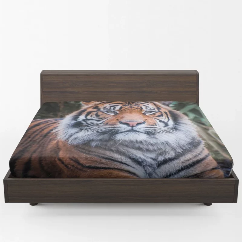 Dangerous Wilderness Tiger Dominance Fitted Sheet