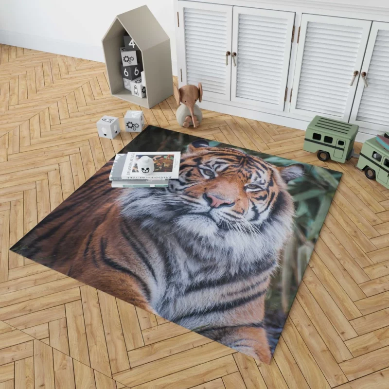 Dangerous Wilderness Tiger Dominance Rug 1