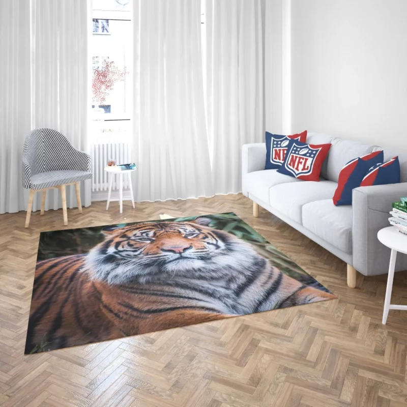 Dangerous Wilderness Tiger Dominance Rug 2