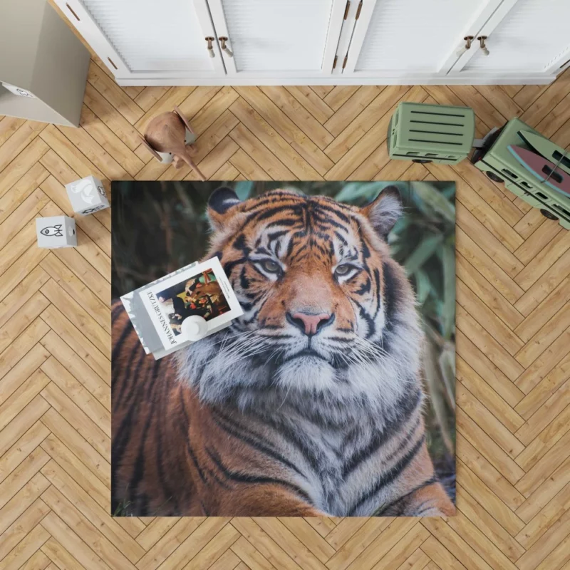 Dangerous Wilderness Tiger Dominance Rug