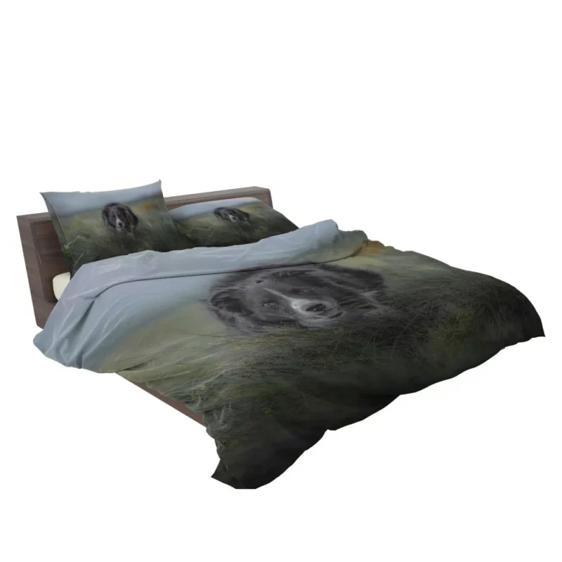 Dark Border Collie Energetic Presence Bedding Set 2