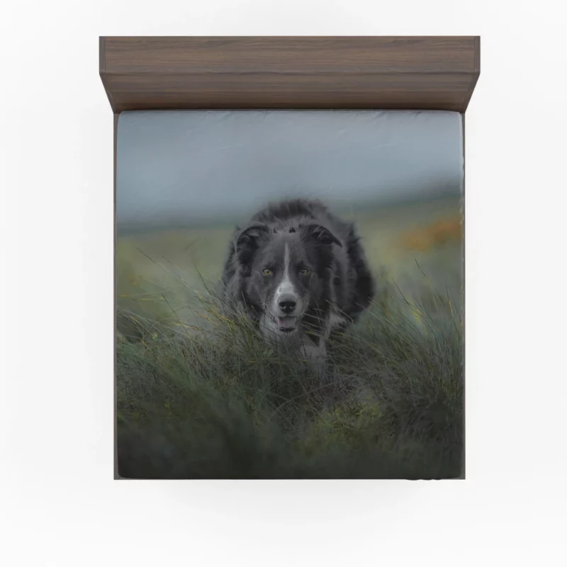 Dark Border Collie Energetic Presence Fitted Sheet 1