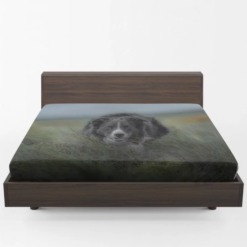 Dark Border Collie Energetic Presence Fitted Sheet