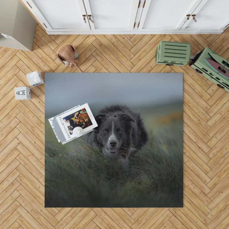 Dark Border Collie Energetic Presence Rug