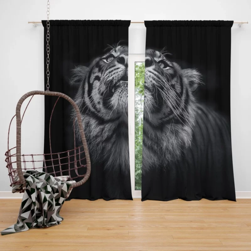 Dark Majesty Tiger Nighttime Vigil Curtain