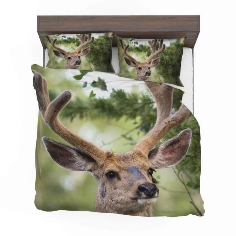 Deer Grace Majestic Wilderness Bedding Set 1