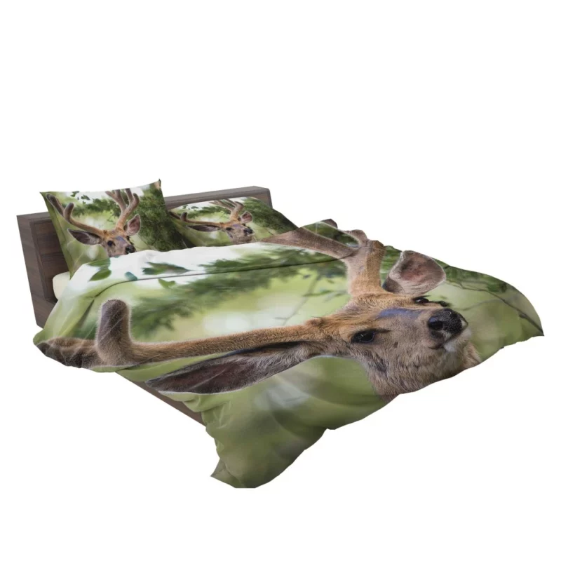 Deer Grace Majestic Wilderness Bedding Set 2