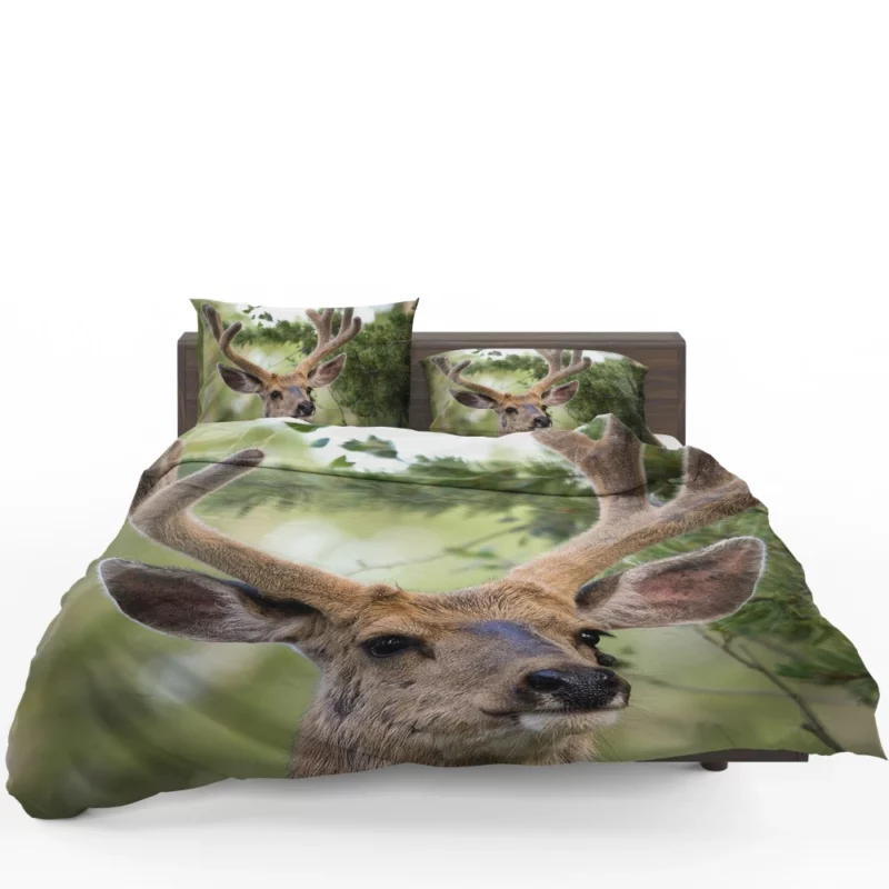 Deer Grace Majestic Wilderness Bedding Set