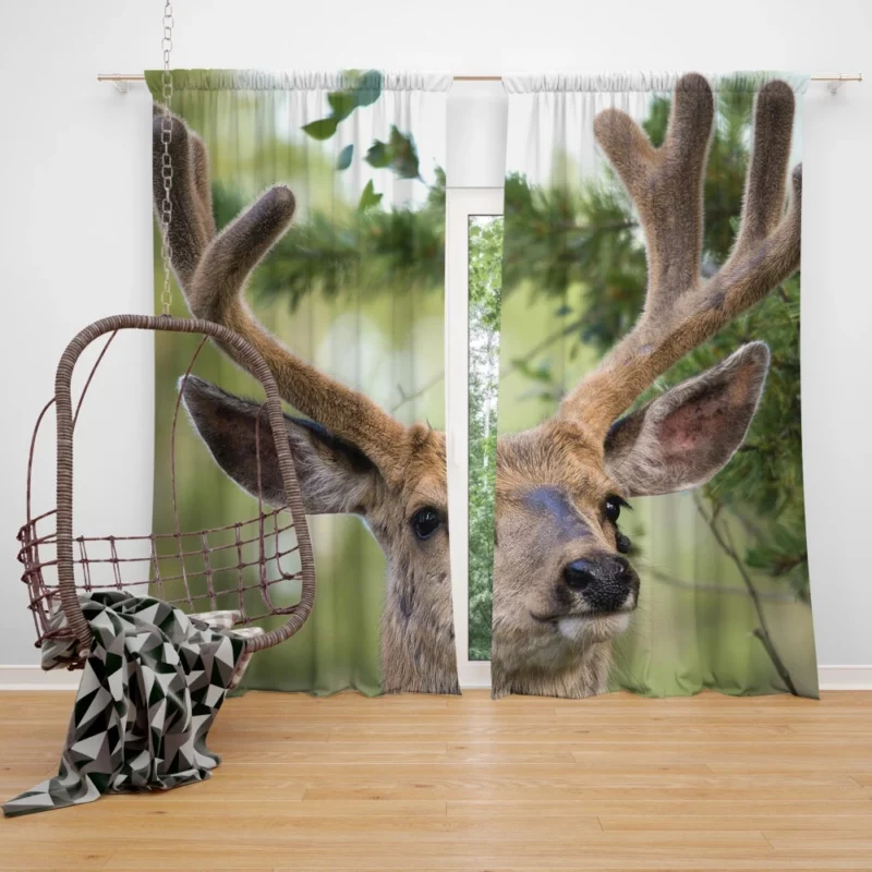 Deer Grace Majestic Wilderness Curtain