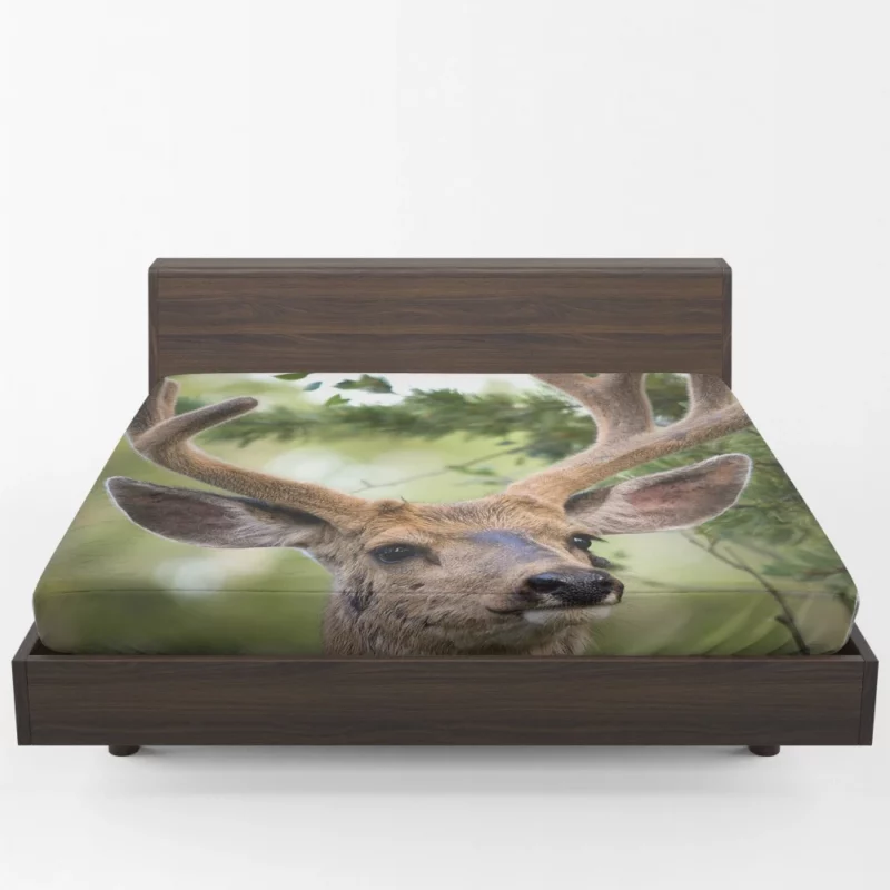 Deer Grace Majestic Wilderness Fitted Sheet