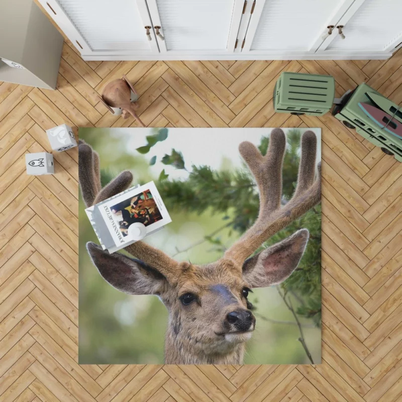 Deer Grace Majestic Wilderness Rug