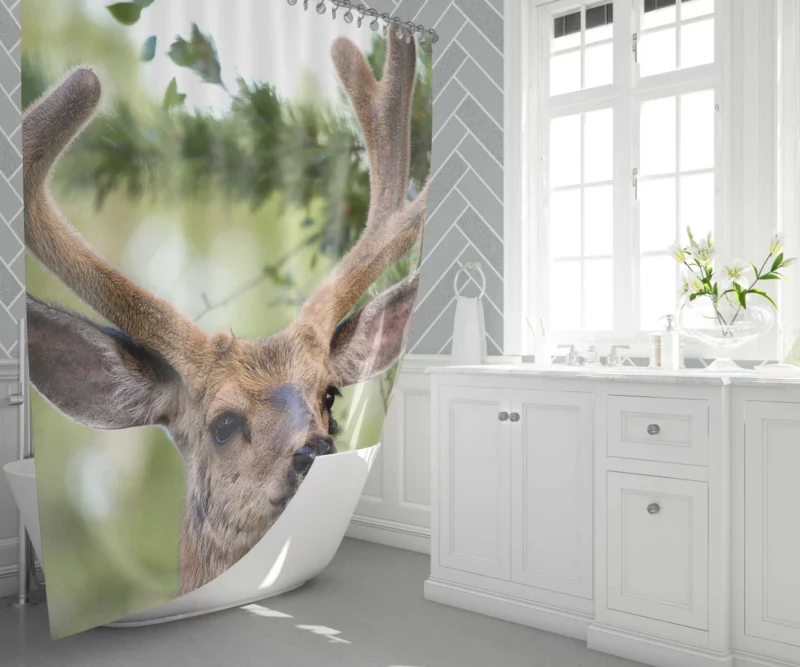 Deer Grace Majestic Wilderness Shower Curtain 1