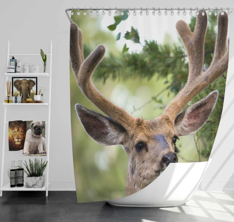 Deer Grace Majestic Wilderness Shower Curtain