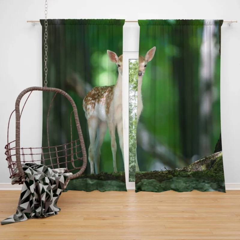 Deer Graceful Gaze Forest Majesty Curtain