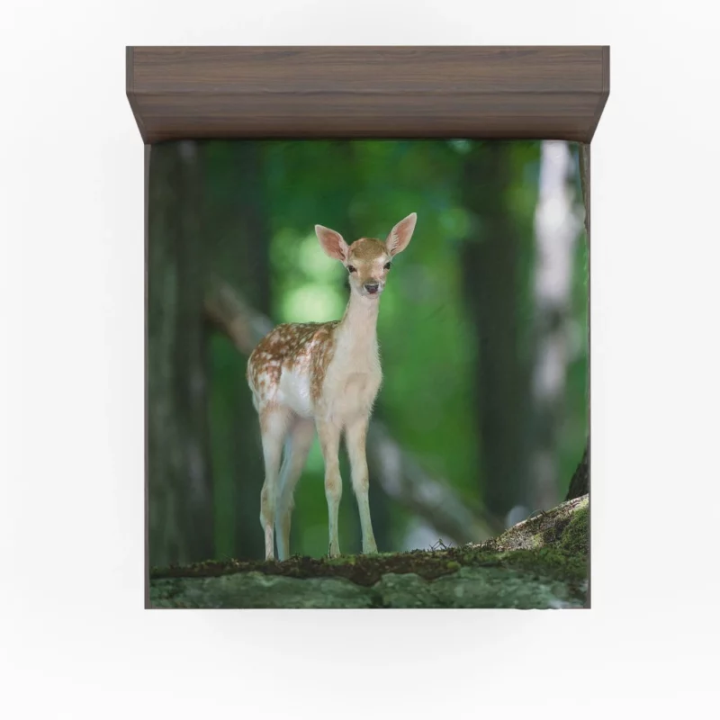 Deer Graceful Gaze Forest Majesty Fitted Sheet 1