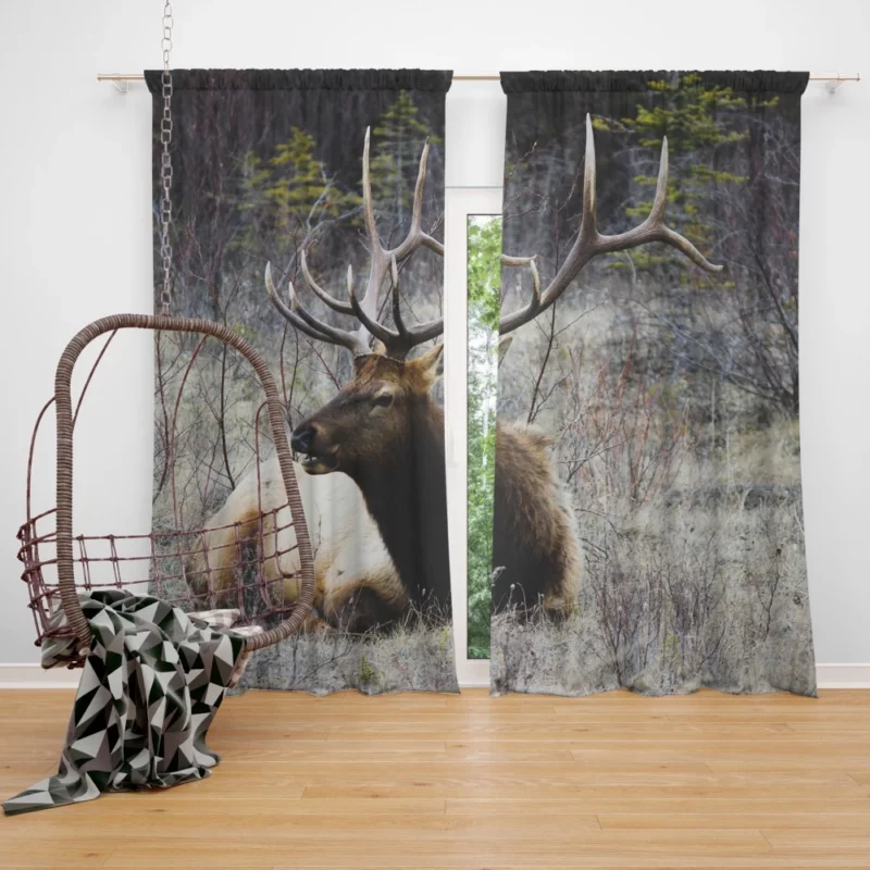 Deer Graceful Stance Silent Beauty Curtain