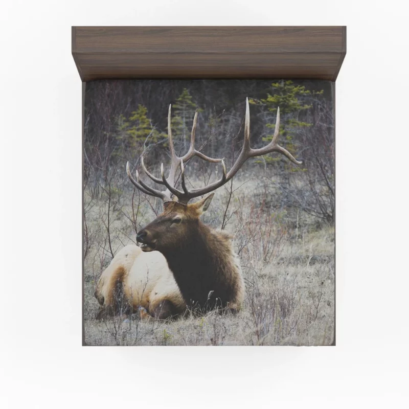 Deer Graceful Stance Silent Beauty Fitted Sheet 1