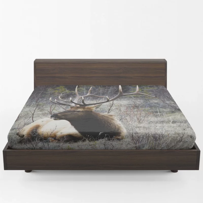 Deer Graceful Stance Silent Beauty Fitted Sheet