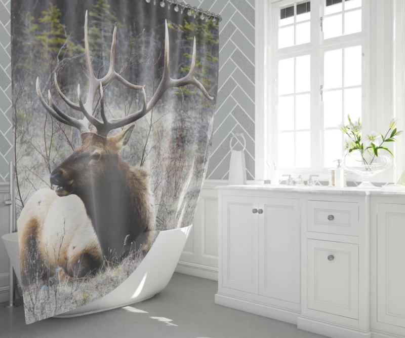 Deer Graceful Stance Silent Beauty Shower Curtain 1