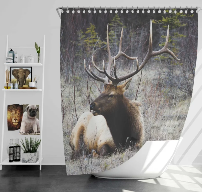 Deer Graceful Stance Silent Beauty Shower Curtain