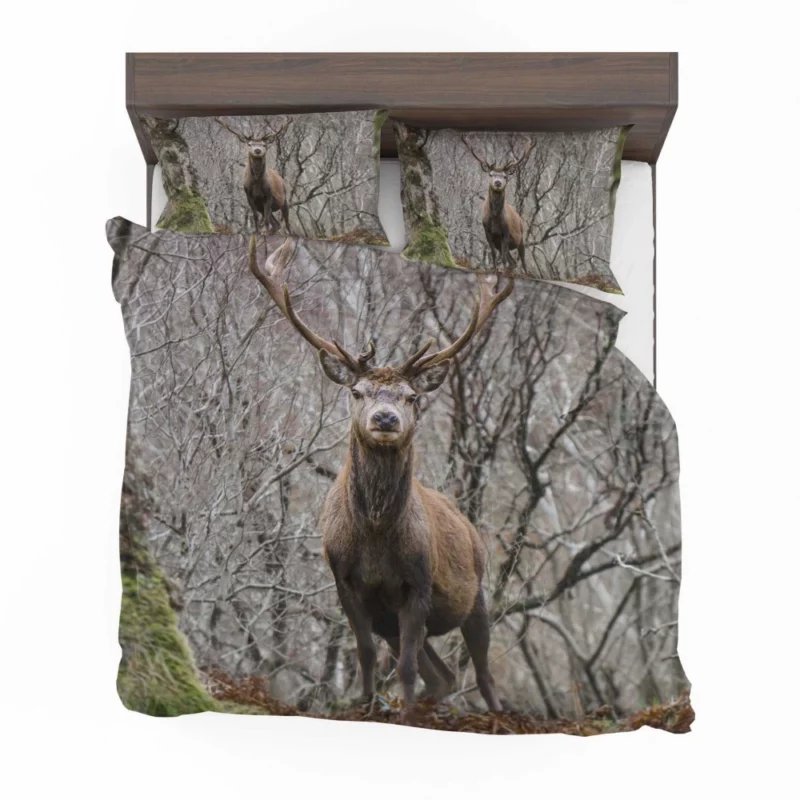 Deer Majestic Stance Wilderness Wonder Bedding Set 1