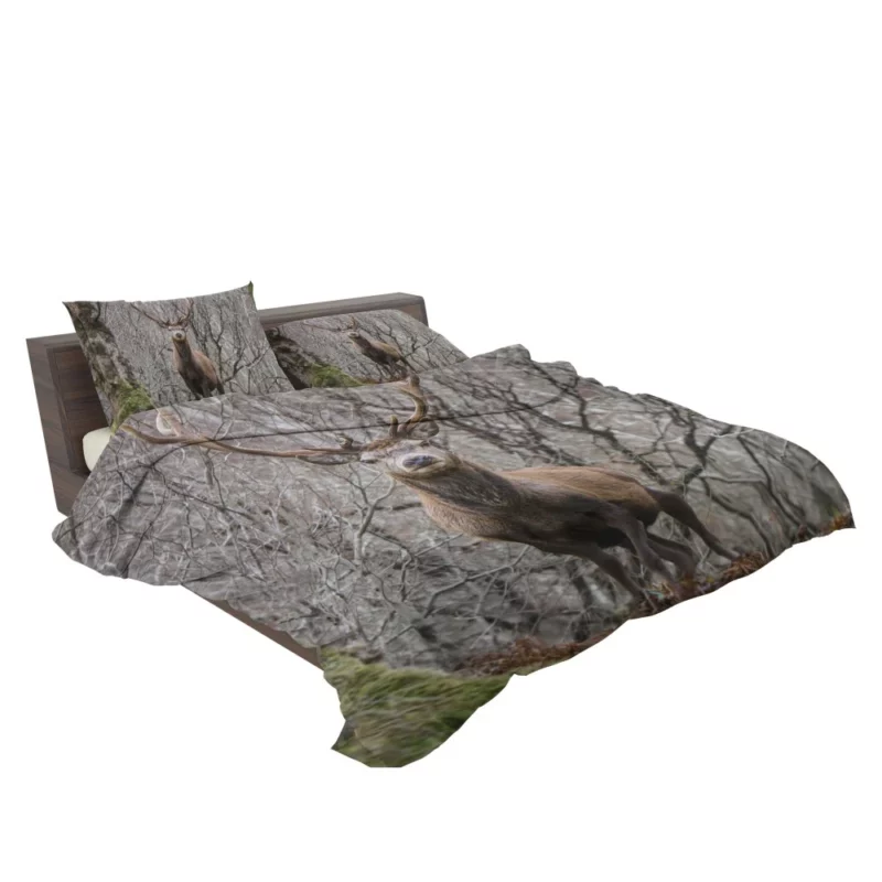 Deer Majestic Stance Wilderness Wonder Bedding Set 2