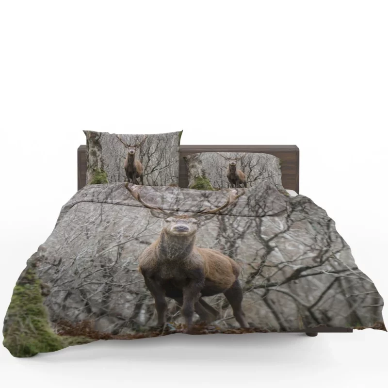 Deer Majestic Stance Wilderness Wonder Bedding Set