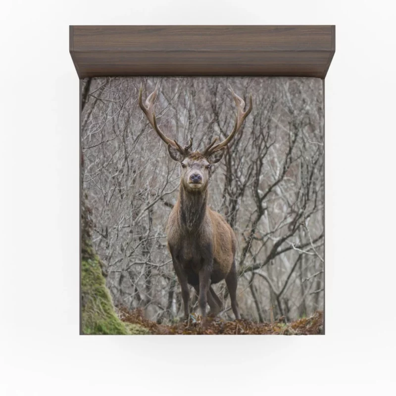 Deer Majestic Stance Wilderness Wonder Fitted Sheet 1