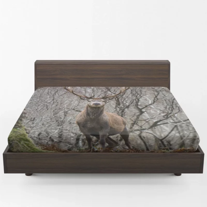 Deer Majestic Stance Wilderness Wonder Fitted Sheet