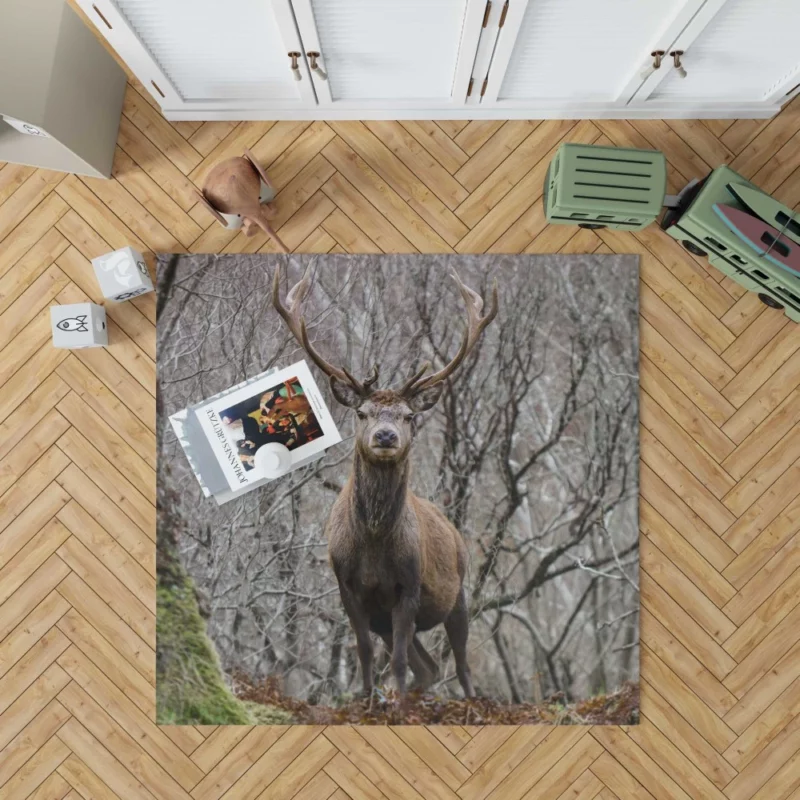 Deer Majestic Stance Wilderness Wonder Rug