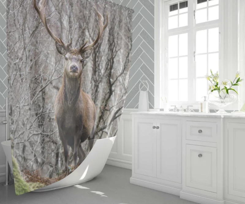 Deer Majestic Stance Wilderness Wonder Shower Curtain 1