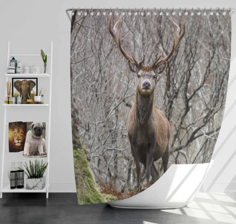 Deer Majestic Stance Wilderness Wonder Shower Curtain