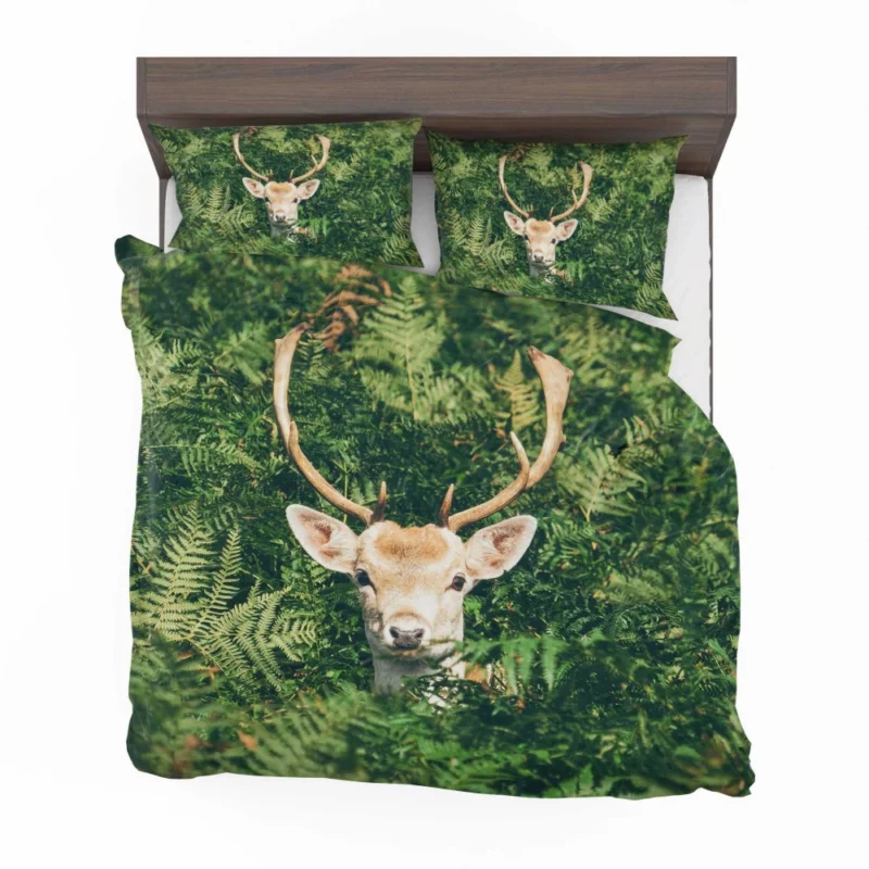 Deer Stare Amidst Fern Wilderness Wonder Bedding Set 1