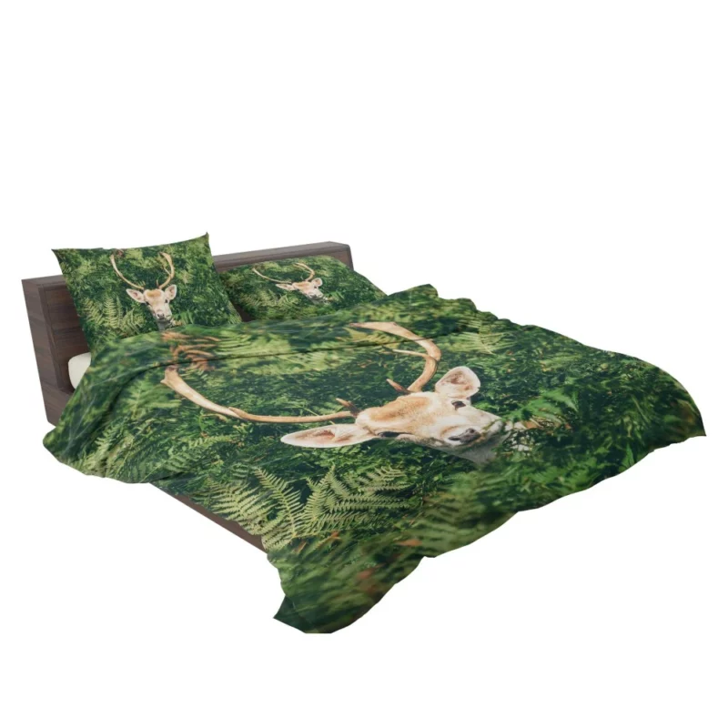 Deer Stare Amidst Fern Wilderness Wonder Bedding Set 2