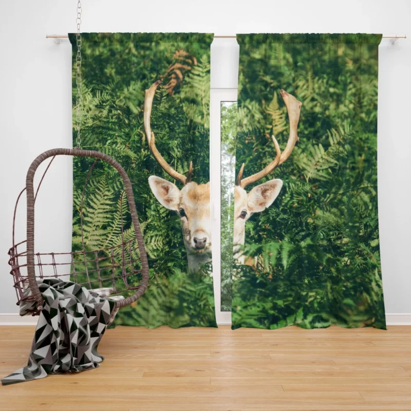 Deer Stare Amidst Fern Wilderness Wonder Curtain