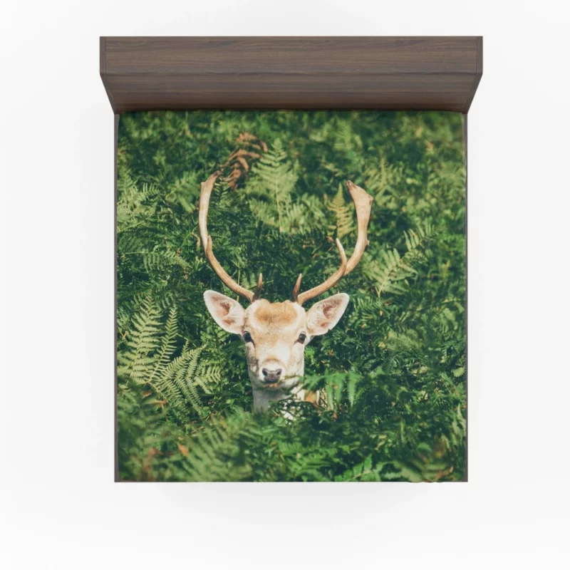 Deer Stare Amidst Fern Wilderness Wonder Fitted Sheet 1