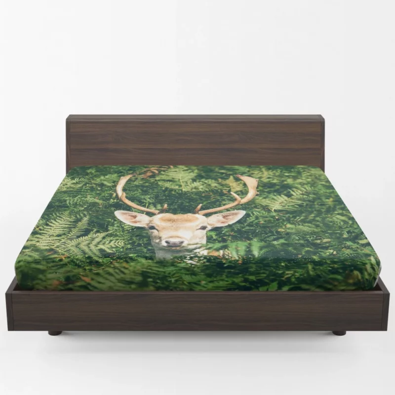 Deer Stare Amidst Fern Wilderness Wonder Fitted Sheet