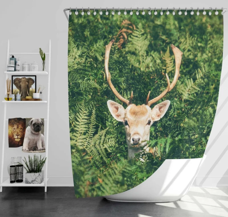 Deer Stare Amidst Fern Wilderness Wonder Shower Curtain