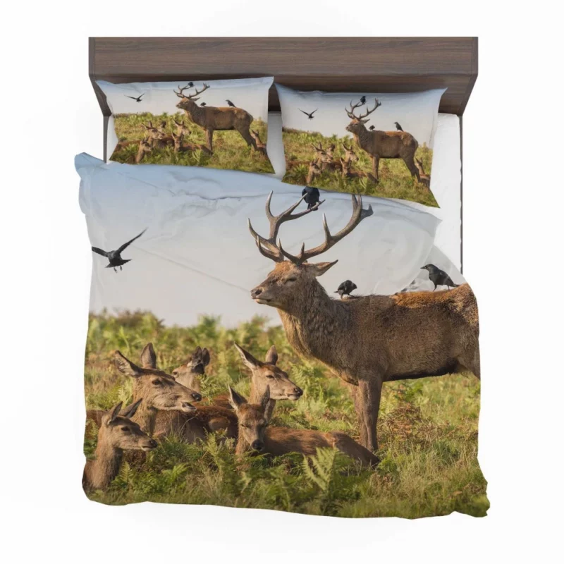 Deer Watchful Gaze Avian Majesty Bedding Set 1