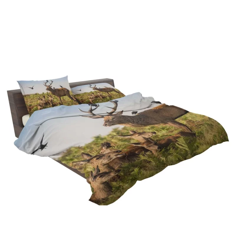 Deer Watchful Gaze Avian Majesty Bedding Set 2