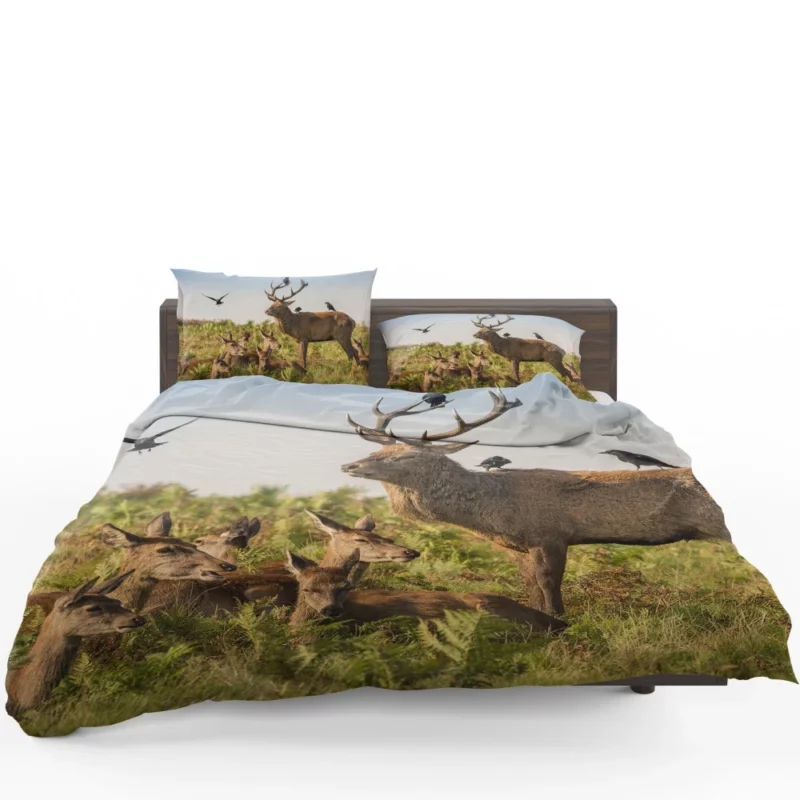 Deer Watchful Gaze Avian Majesty Bedding Set